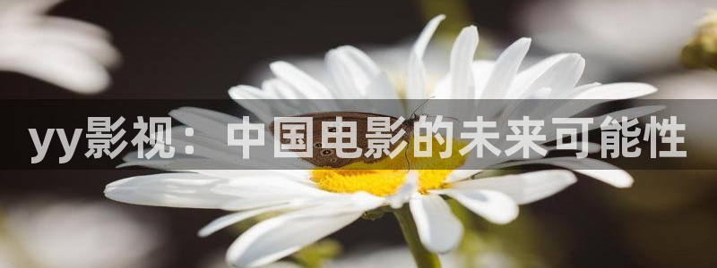 午夜k8经典电影：yy影视：中国电影的未来可能性