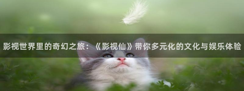 午夜电影播放：影视世界里的奇幻之旅：《影视仙》带你多元化的文化与娱乐体验