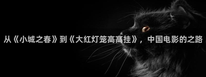 成人午夜影院在线免费观看