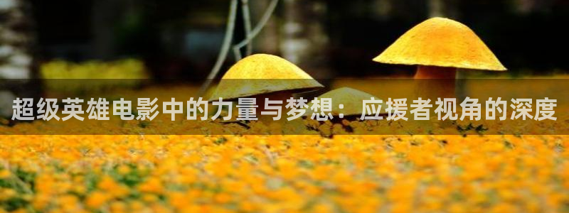老司机午夜精品影院