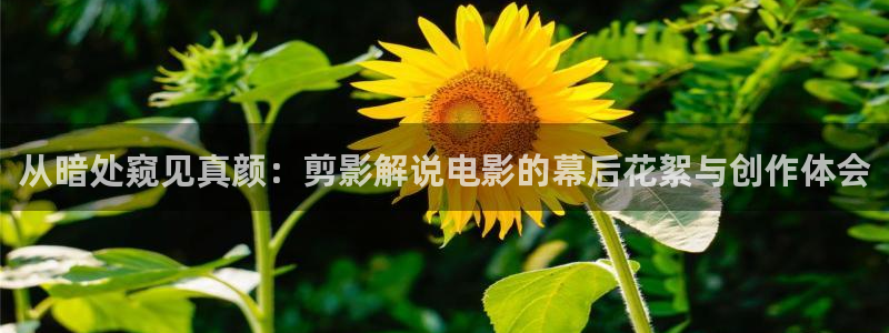 午夜成年人片