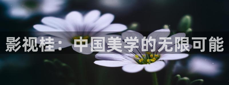 午夜av在线美女