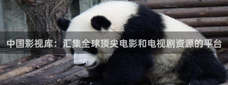 电影午夜追凶