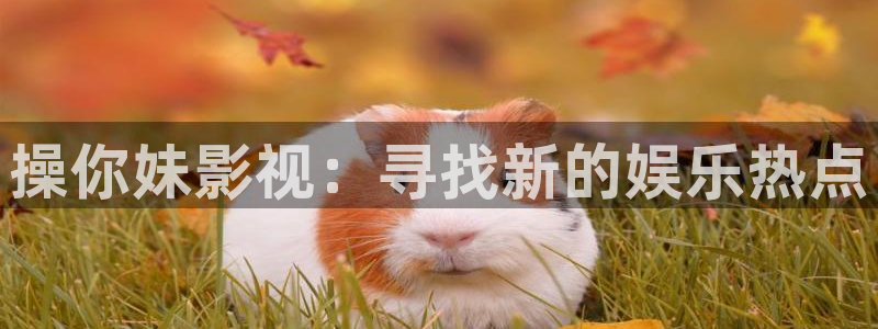 日本午夜大片在线观看