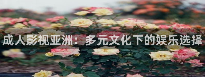 神马影院午夜影院在线观看