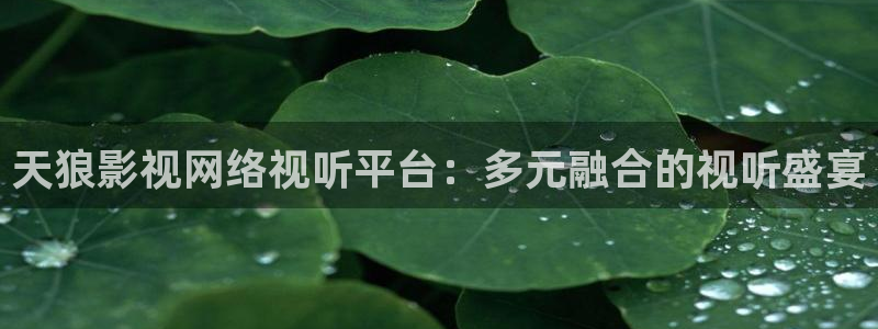 午夜理论片yy8840影院
