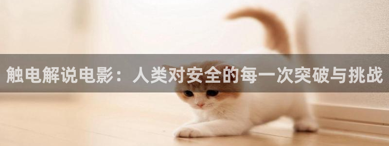 神马影院午夜观看