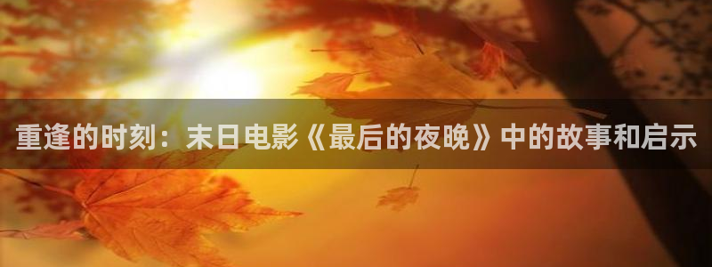 成年人午夜看视频