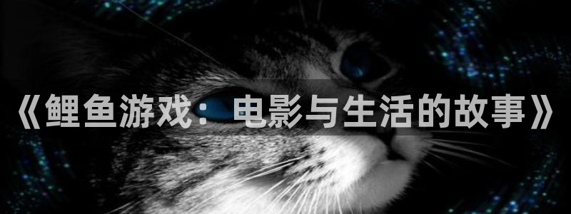 日韩在线视频午夜