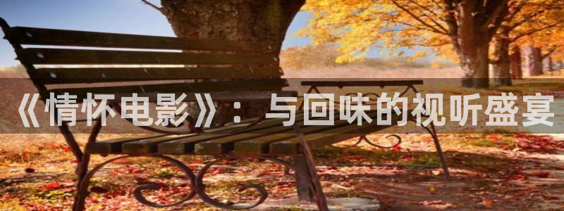 丝瓜视频午夜