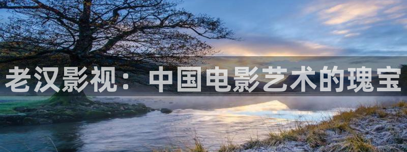 国产一区二区午夜电影