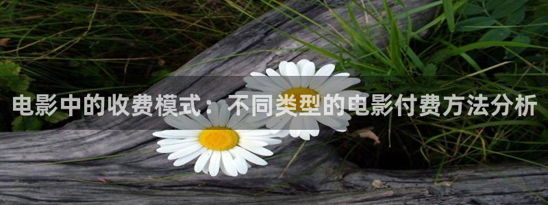 叫神马午夜电影