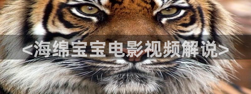 女午夜影院