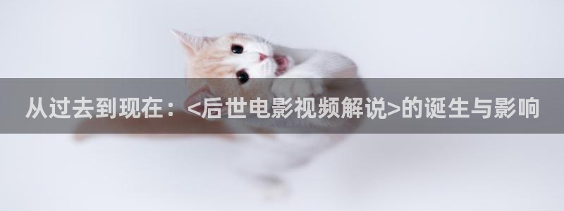 午夜老湿机影院