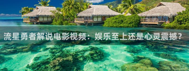 av成人午夜
