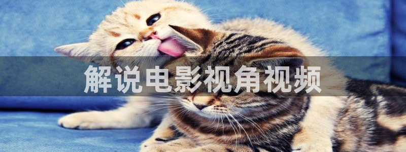 成人午夜电影视频：解说电影视角视频
