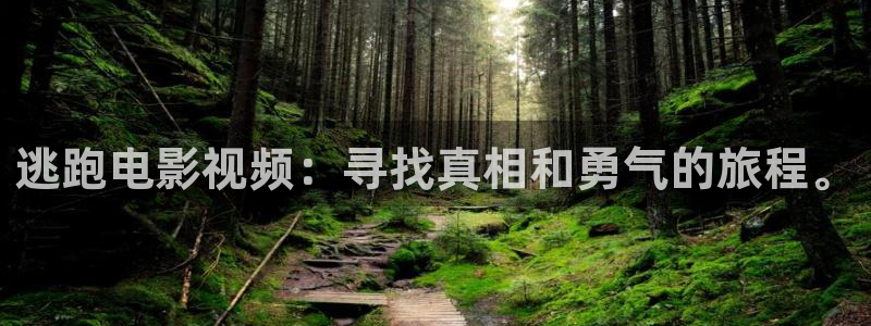 男人午夜看片网址：逃跑电影视频：寻找真相和勇气的旅程。