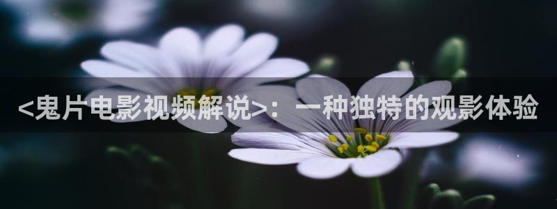 秋霞午夜神马高清影院：<鬼片电影视频解说>：一种独特的观影体验