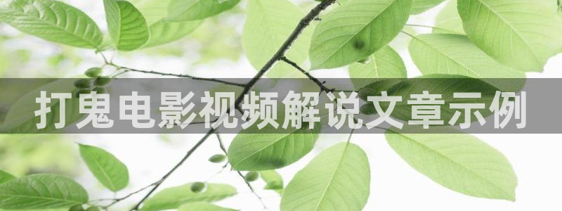 4080午夜影院：打鬼电影视频解说文章示例