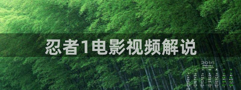 午夜国产视频在线观看：忍者1电影视频解说