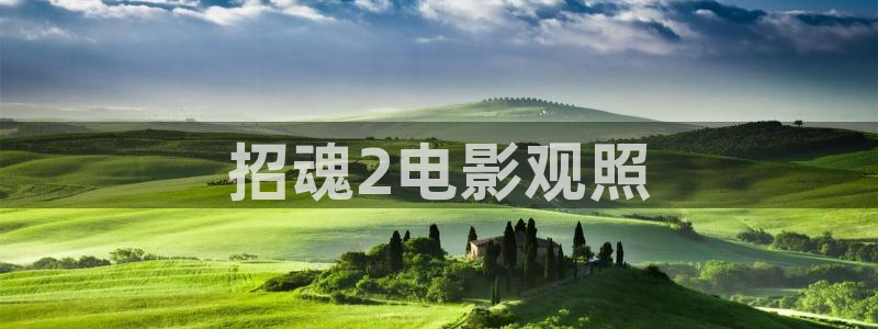 午夜巴黎电影简介：招魂2电影观照