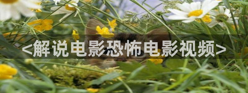 午夜伦理在线视频：<解说电影恐怖电影视频>