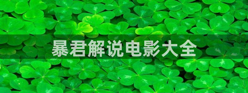 午夜影院不卡：暴君解说电影大全