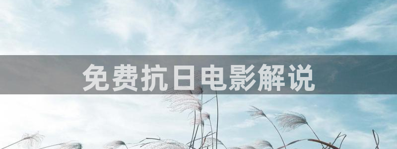 成人午夜电影播放：免费抗日电影解说