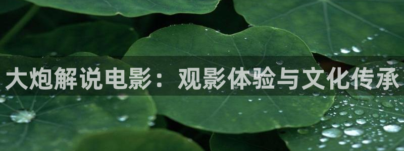 窝窝午夜爽片：大炮解说电影：观影体验与文化传承