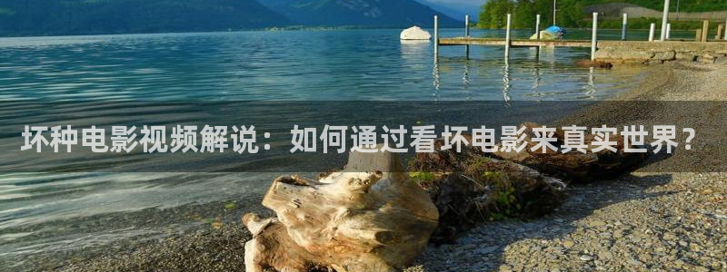 芬兰午夜电影播放：坏种电影视频解说：如何通过看坏电影来真实世界？