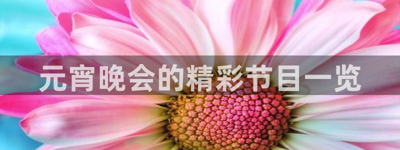 韩国电影午夜影院：元宵晚会的精彩节目一览