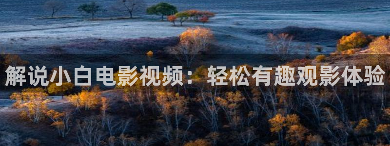 qvod午夜电影：解说小白电影视频：轻松有趣观影体验