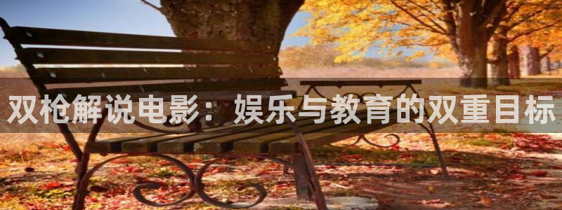 午夜伦理在线小视频：双枪解说电影：娱乐与教育的双重目标
