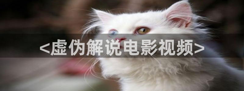 午夜电影a：<虚伪解说电影视频>