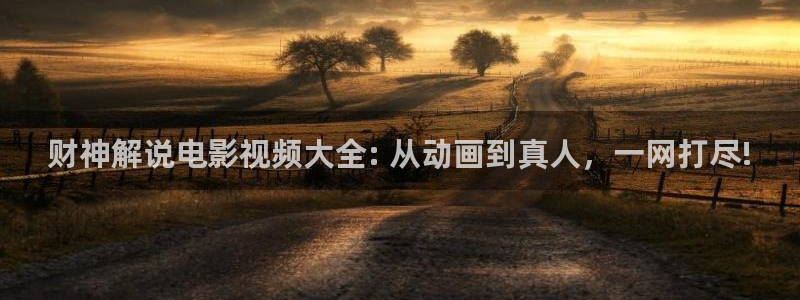 欧美午夜影院一级片免费：财神解说电影视频大全: 从动画到真人，一网打尽!