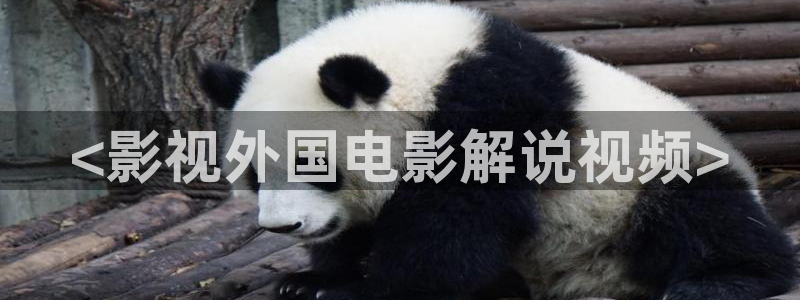 秋霞影院午夜剧场：<影视外国电影解说视频>