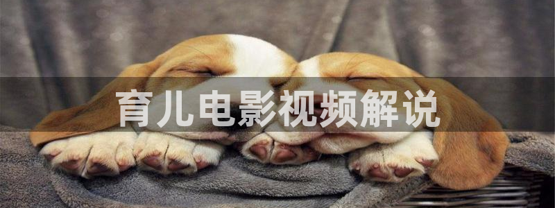 免费午夜在线视频：育儿电影视频解说