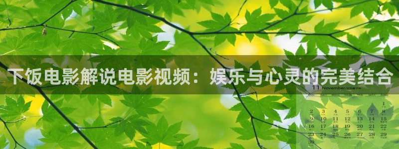 微电影午夜：下饭电影解说电影视频：娱乐与心灵的完美结合