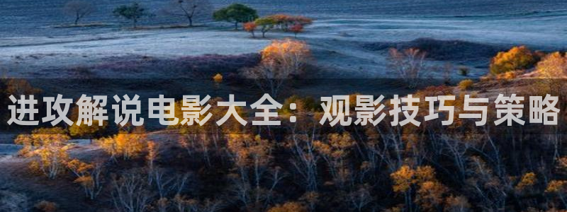 理论午夜在线观看：进攻解说电影大全：观影技巧与策略