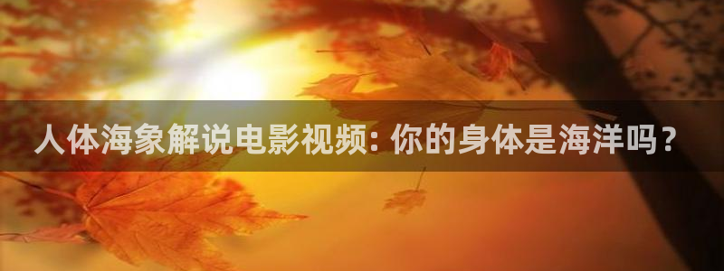 神马影院午夜激情场：人体海象解说电影视频: 你的身体是海洋吗？