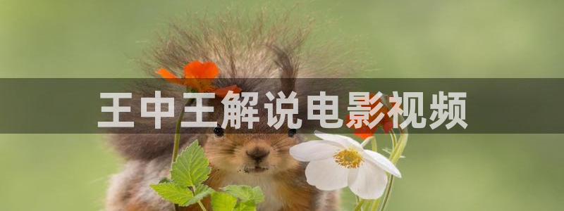 人妻午夜片：王中王解说电影视频
