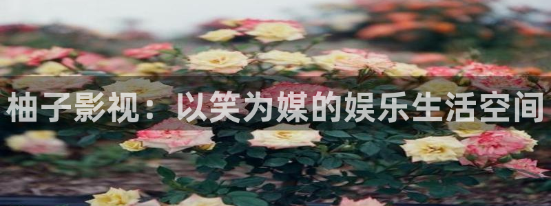手机看片神马午夜影院：柚子影视：以笑为媒的娱乐生活空间