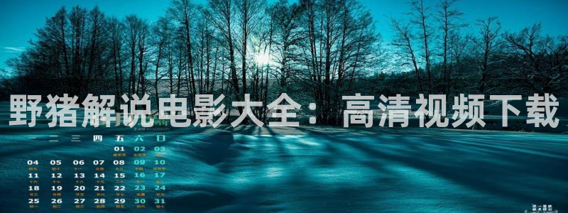 午夜α片