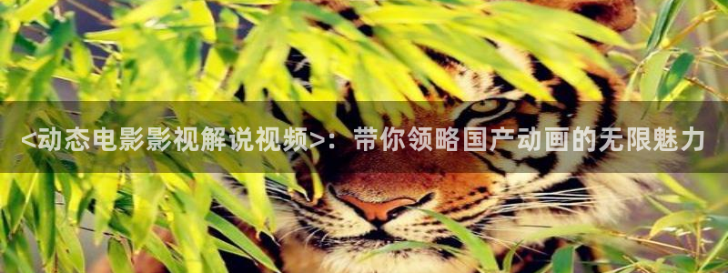 新神马午夜影院