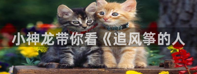 午夜759影视