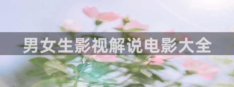 神马午夜电影达达兔