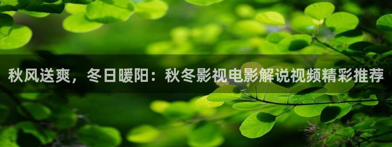 激情在线午夜：秋风送爽，冬日暖阳：秋冬影视电影解说视频精彩推荐