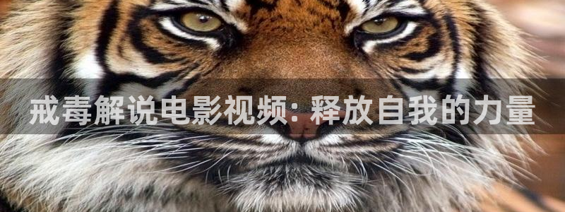 熟妇午夜影院