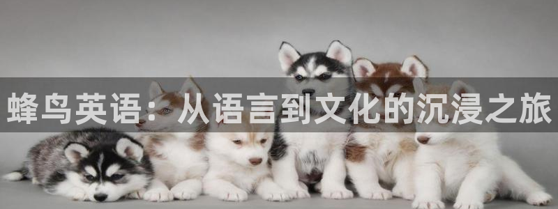 男人午夜电影网站