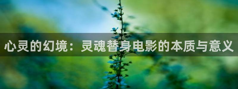 澳门午夜影视